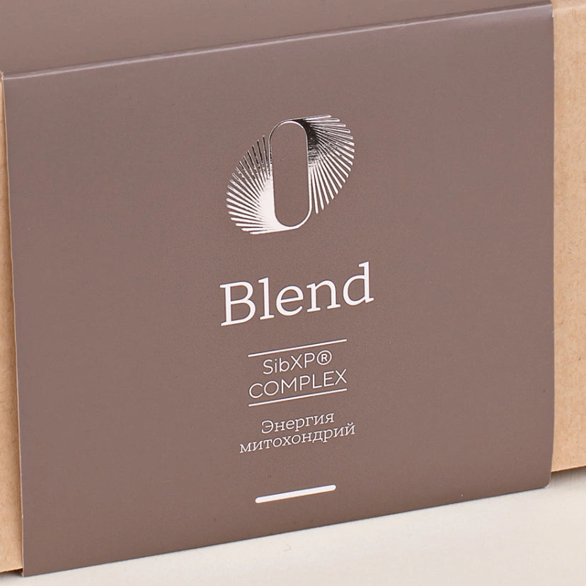 VILAVI T8 BLEND - Suplement diety: Kompleks poliprenoli i 6 jagód tajgi na odporność, 750 ml